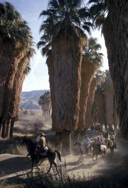Palm Springs Riders